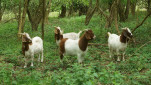 1DSC07890